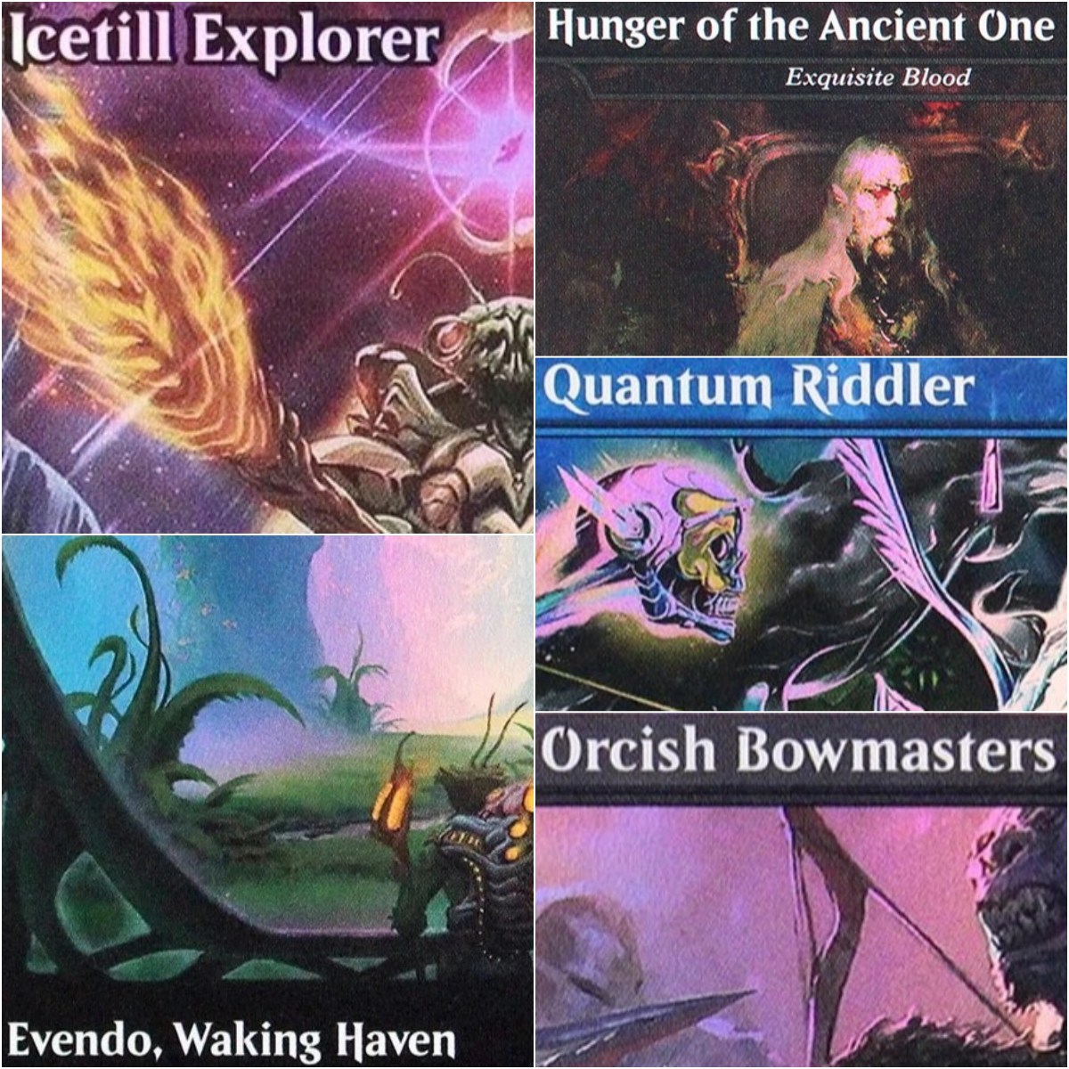 フォイル「アイスティル・エクスプローラー/ザ・バニヤン・ツリ - Board Game Research のレビューと価格