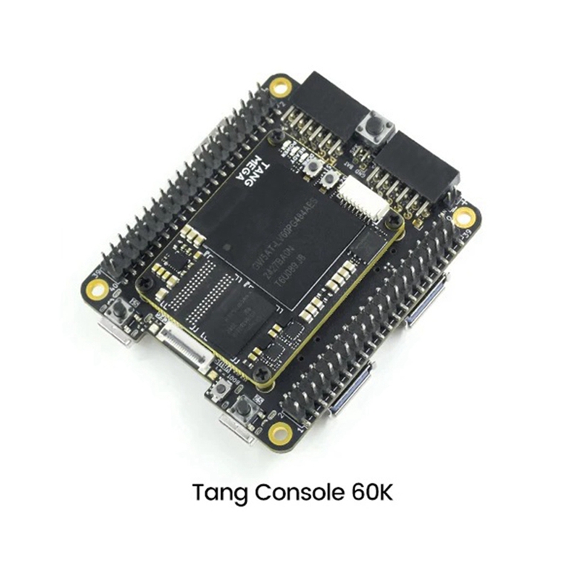 Tang Console 60K ミニ FPGA 開発ボード - Board Games のレビューと価格